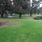 Grass and trees in Craigavon park